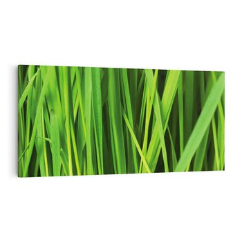 Obraz na płótnie 120x60 - Trawa w abstrakcji: natura przekształcona - trawa, abstrakcja