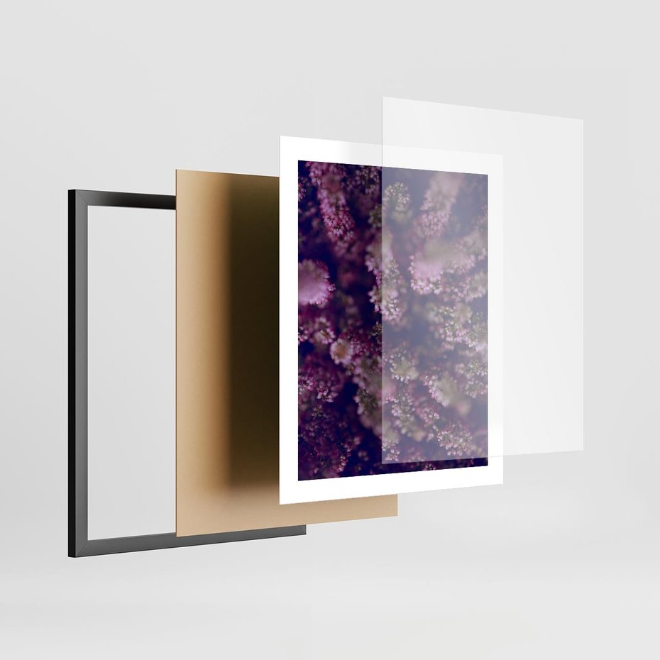 Plakat w ramie 40x50 - Wrzosowa Delikatność - wrzosy, kwiaty - rama czarna