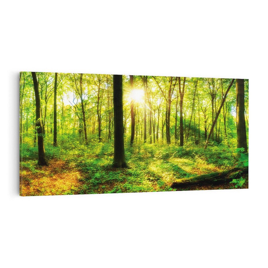 Obraz na płótnie 120x60 - Mistyfikujący las - las, drzewa