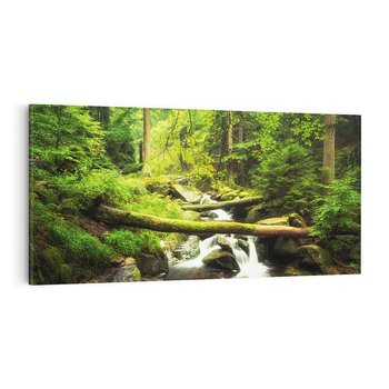 Obraz na płótnie 140x70 - Magiczny Strumień w Lesie - strumień, las