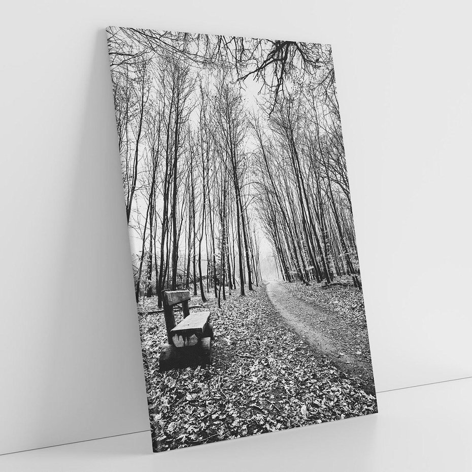 Obraz na płótnie 70x100 - Spadające Liście - czarno białe zdjecie, park