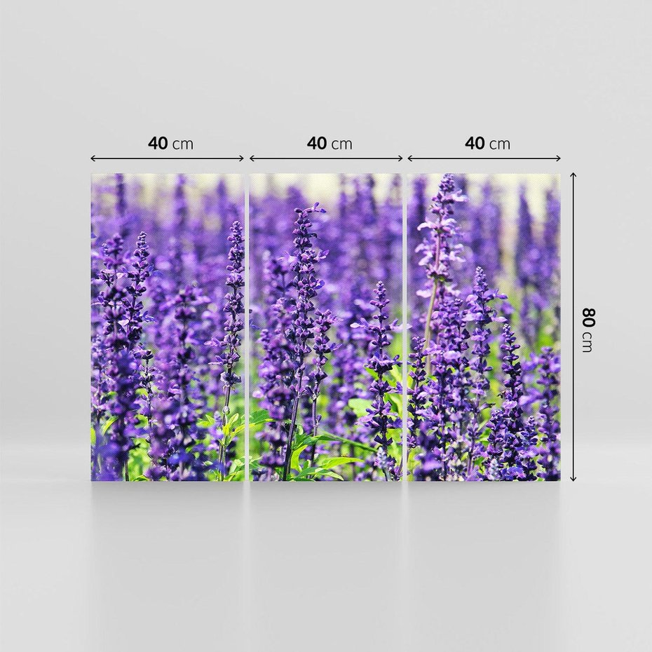 Obraz na płótnie 120x80 - Lawendowa Mgła - lawenda, kwiat