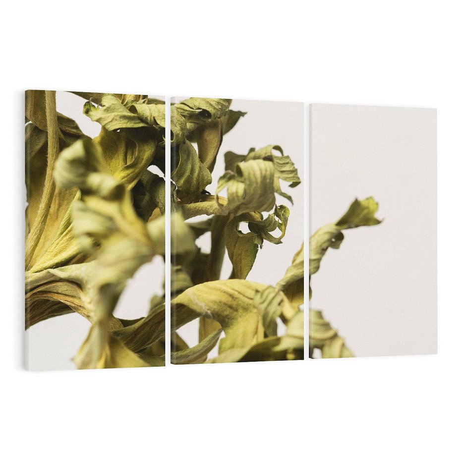 Obraz na płótnie 120x80 - Odejście pory deszczowej - suche, trawy