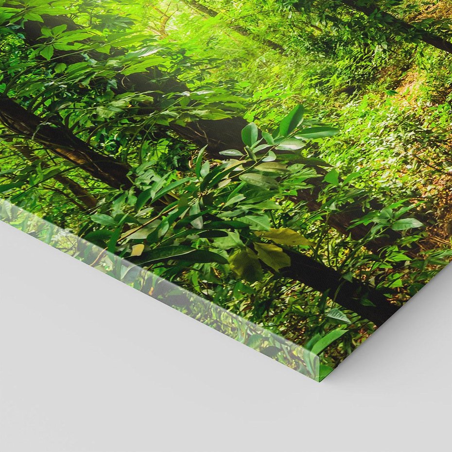 Obraz na płótnie 120x80 - Współistnienie z naturą - drzewa, las