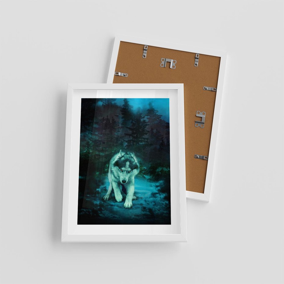 Plakat w ramie 30x40 - Siła i wdzięk natury - wilk, husky - rama biała