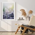 Plakat bez ramy 30x40 - Delikatna Uroda Natury - wrzosy, fiolet