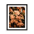 Plakat w ramie 40x50 - Ciepło Jesieni - jesienne pomarańczowe liśćie, jesień - rama czarna