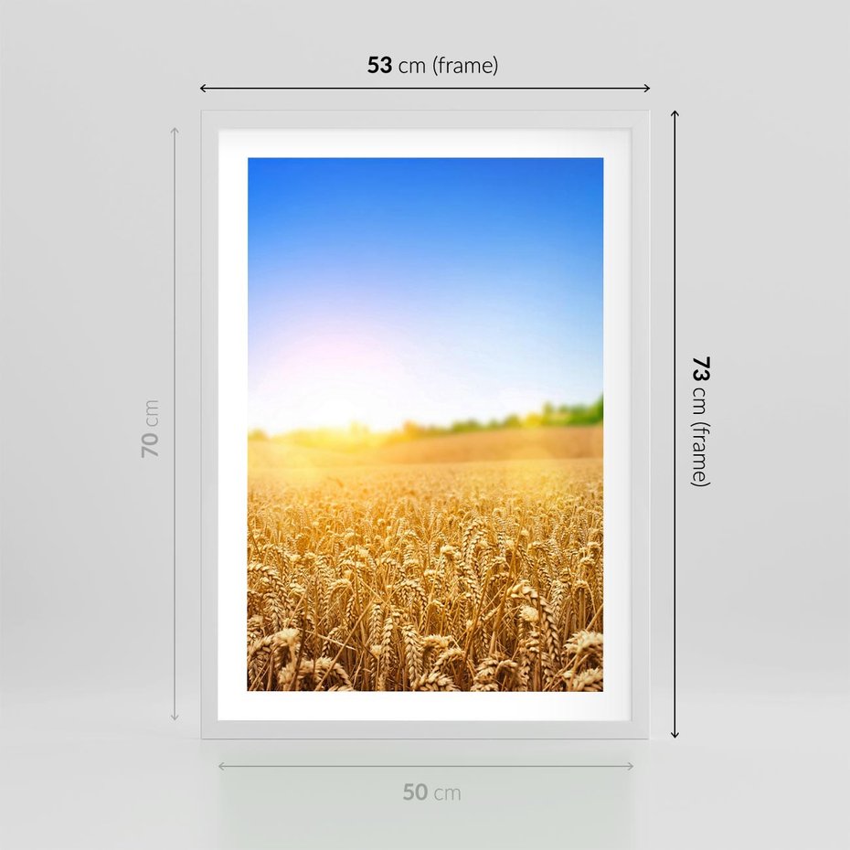 Plakat w ramie 50x70 - Żyzne Pola - pole, pszenicy - rama biała