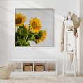 Obraz w ramie 80x80 - Słoneczna Radość - fotografia, żółte słoneczniki - rama drewno