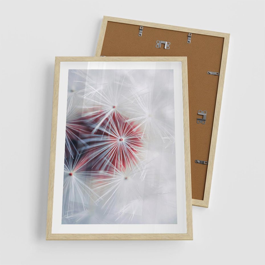 Plakat w ramie 50x70 - Minimalistyczna Delikatność - zbliżenie, dmuchawce - rama drewno