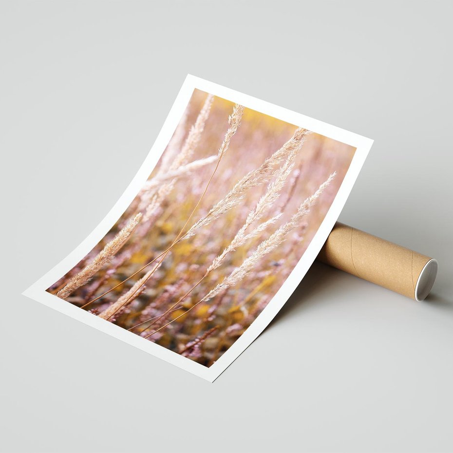 Plakat bez ramy 21x30 - Sucha Trawa w Sierpniu - trawy, łąka