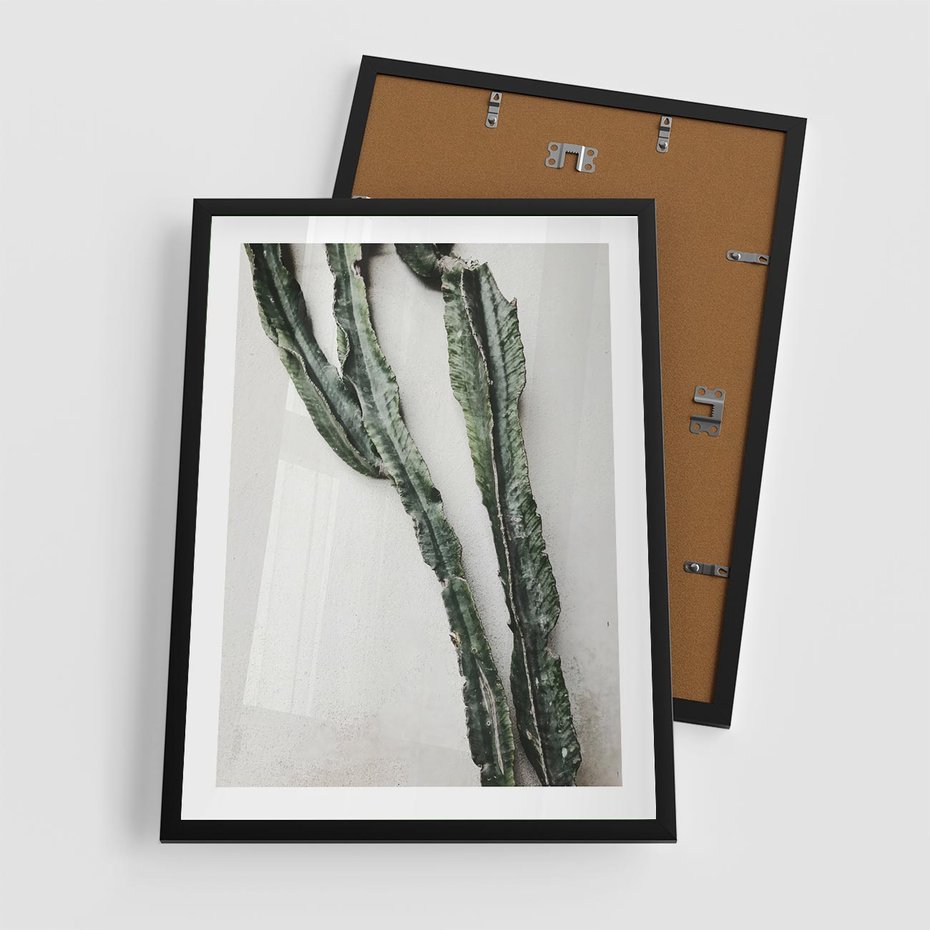 Plakat w ramie 50x70 - Zielona Roślina z Liśćmi - zielona roślina, liście - rama czarna