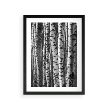 Plakat w ramie 40x50 - Kontrast Monochromatyczny - brzozy, czarno - rama czarna