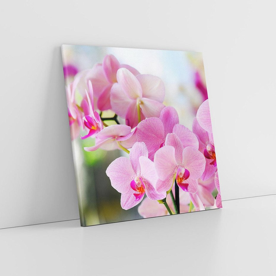Obraz na płótnie 60x60 - Elegancja orchidei - orchidea, kwiaty