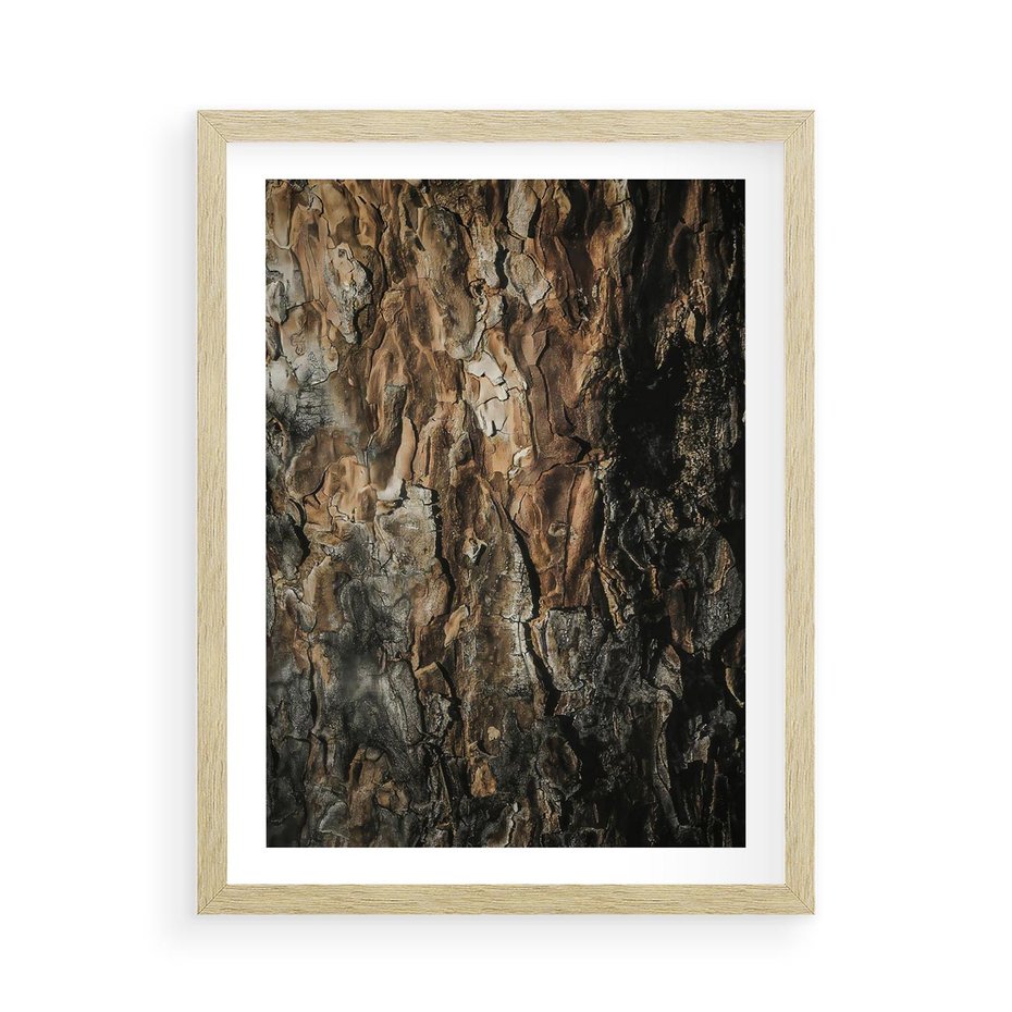 Plakat w ramie 50x70 - Tekstura Drewna: Zbliżenie - zbliżenie na pień drzewa, tekstura - rama drewno