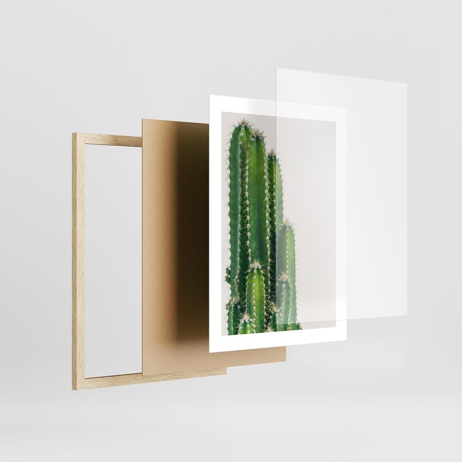 Plakat w ramie 30x40 - Minimalistyczne Kaktusy na Białym Tle - kaktusy, minimalistyczna fotografia - rama drewno