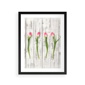 Plakat w ramie 50x70 - Kwintesencja Piękna - kwiaty, tulipany - rama czarna