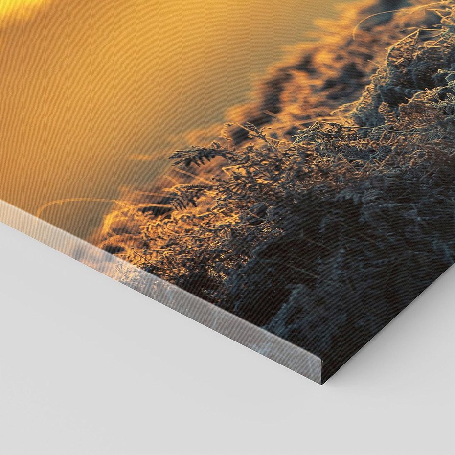 Obraz na płótnie 120x60 - Jesienne Spotkanie w Lesie - jeleń, jesień