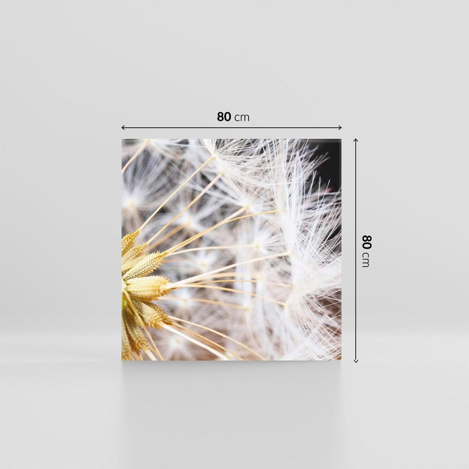 Obraz na płótnie 80x80 - Dmuchawiec: lekkość natury - dmuchawiec, natura