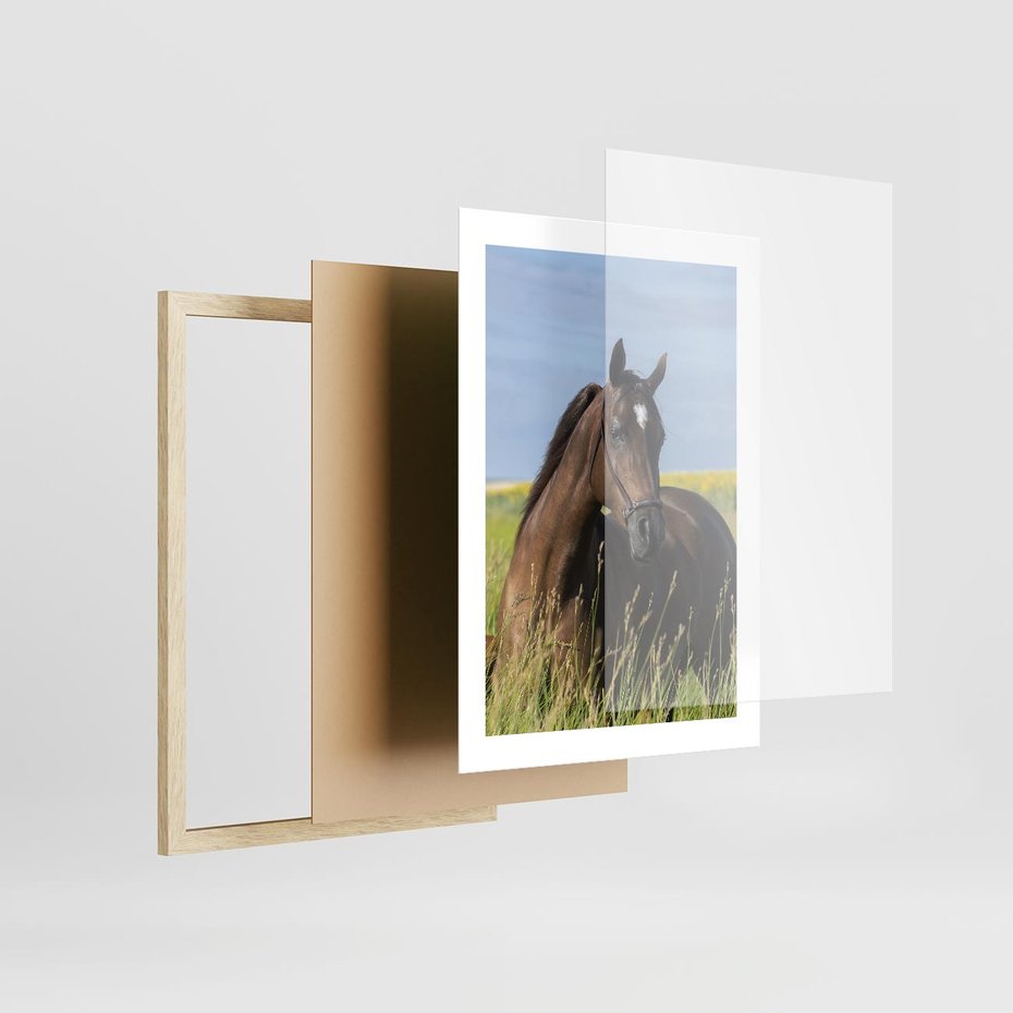 Plakat w ramie 30x40 - Siła i piękno natury - koń, łąka - rama drewno