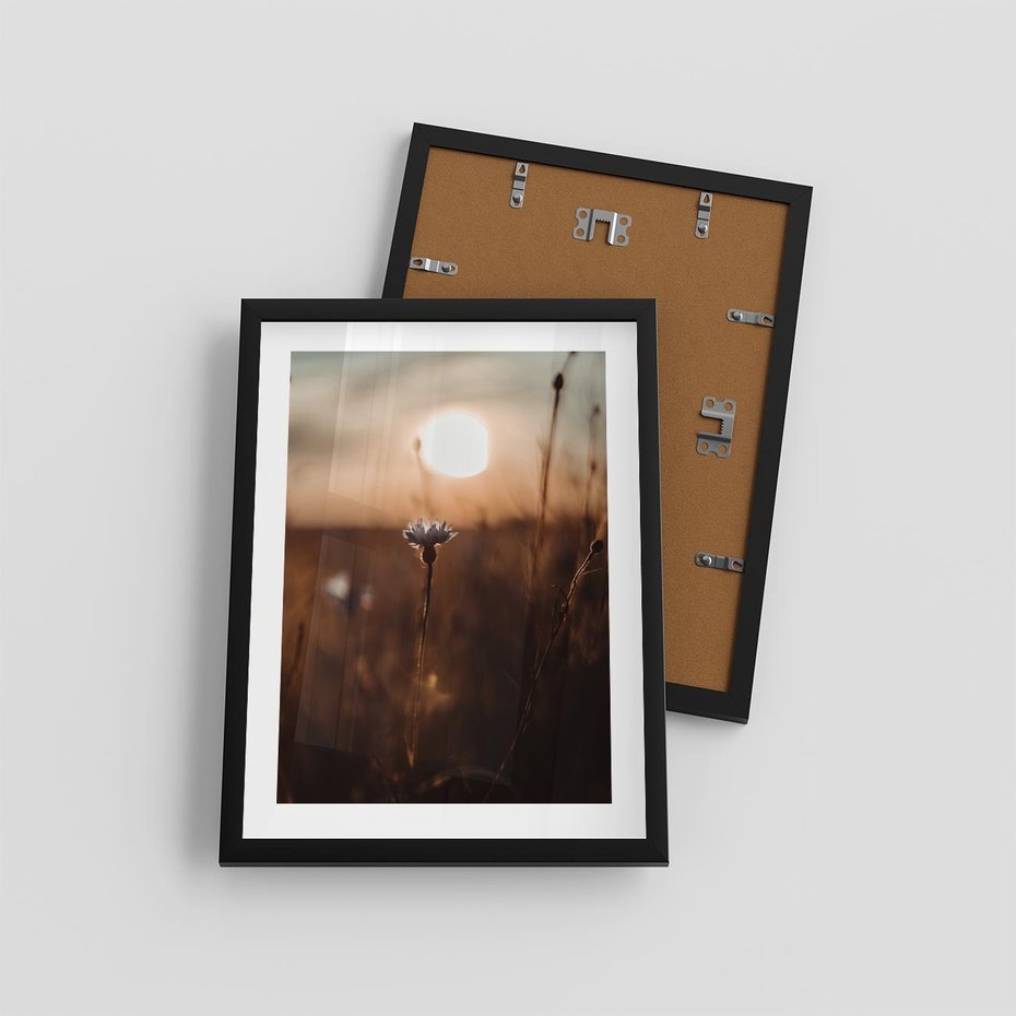 Plakat w ramie 30x40 - Spokój łąki pod zachodem słońca - zachód, słońca - rama czarna