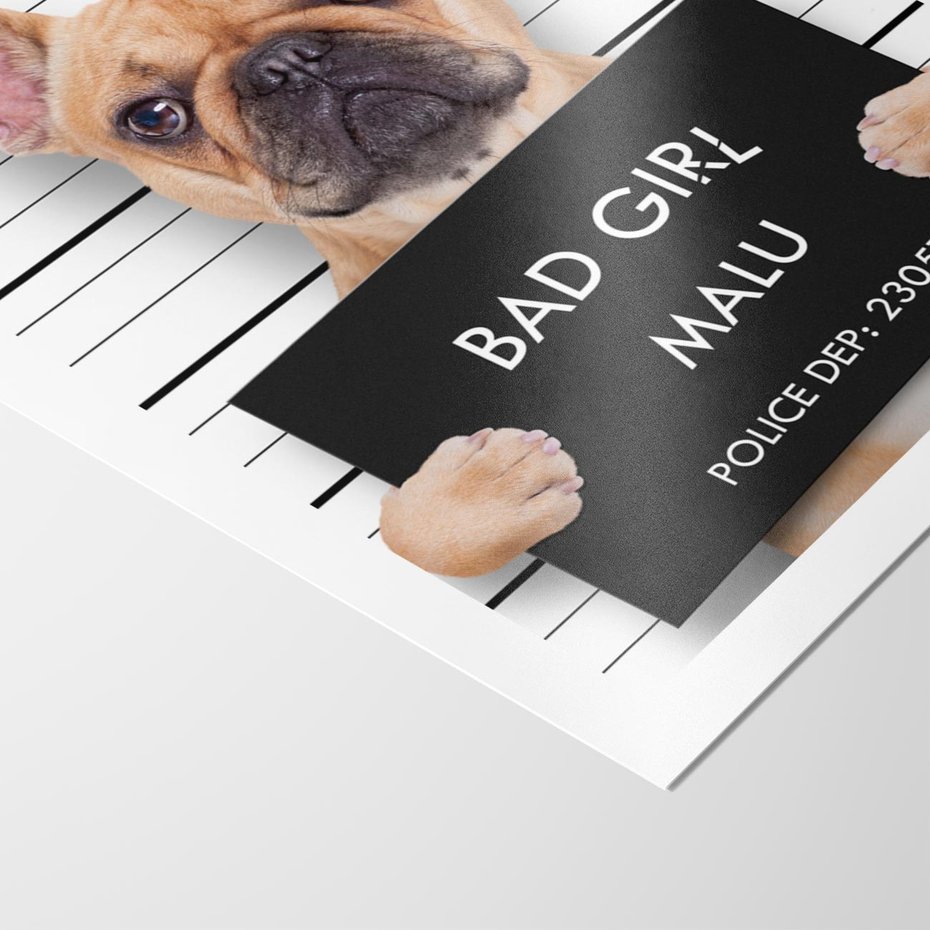 Plakat bez ramy 30x40 - przyjaciel na zawsze - pies, piesek