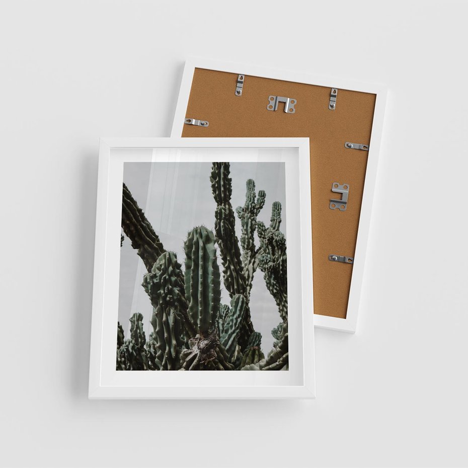Plakat w ramie 40x50 - Boho oaza wśród kaktusów - kaktusy, pustynia - rama biała