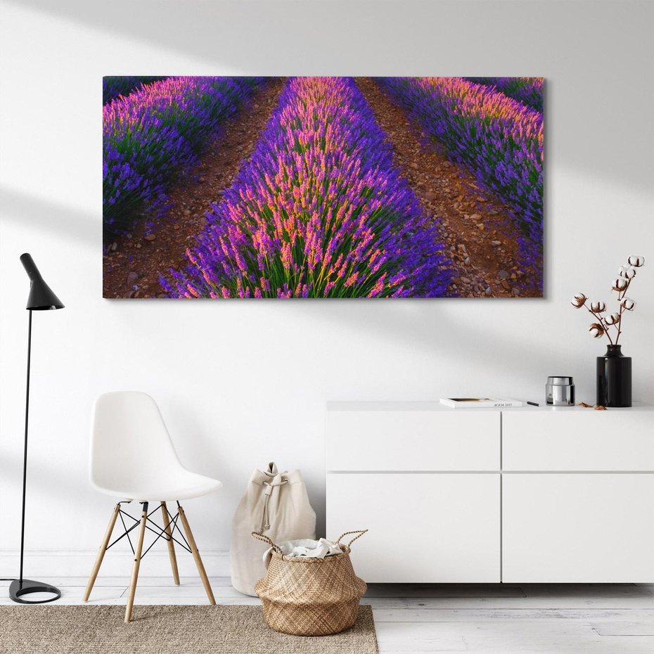 Obraz na płótnie 120x60 - Fioletowa Magia - pole, lawendy