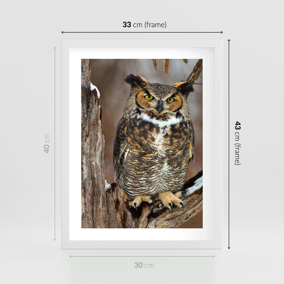 Plakat w ramie 30x40 - Tajemniczy Stróż - sowa, las - rama biała