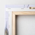 Obraz na płótnie 30x30 - Sukulentowe liście - liście, sukulenty