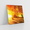 Obraz na płótnie 70x70 - Magia jesiennego lasu - las, drzewa