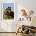 Plakat w ramie 30x40 - Siła i piękno natury - koń, łąka - rama biała