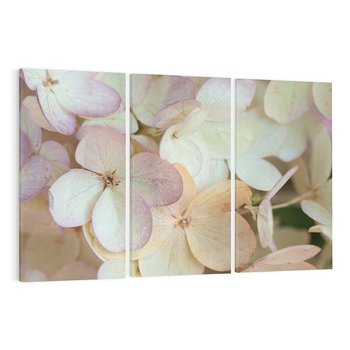 Obraz na płótnie 120x80 - Kwiatowy taniec - kwiaty, hortensje