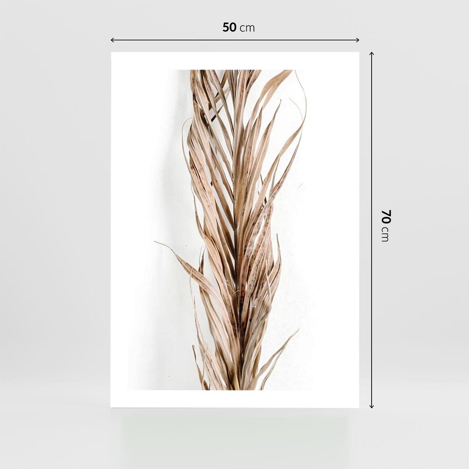 Plakat bez ramy 50x70 - Minimalizm Palmowy: Sucha Uroda - sucha palma, minimalizm
