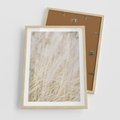 Plakat w ramie 50x70 - Białe Trawy Pampas - suche trawy, białe trawy - rama drewno