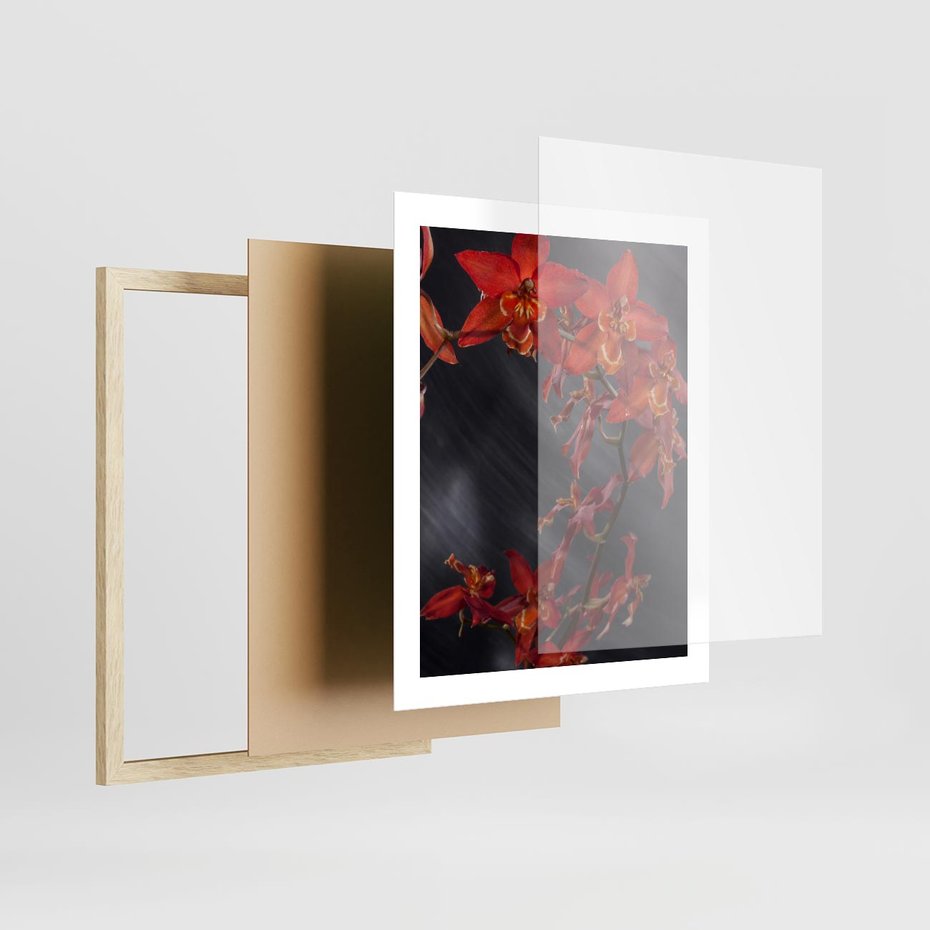 Plakat w ramie 40x50 - Kolorowy Raj - kwiaty, tropikalne - rama drewno