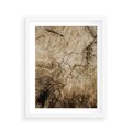 Plakat w ramie 40x50 - Słoje Natury - słoje drzewa, pieńdrzewa - rama biała
