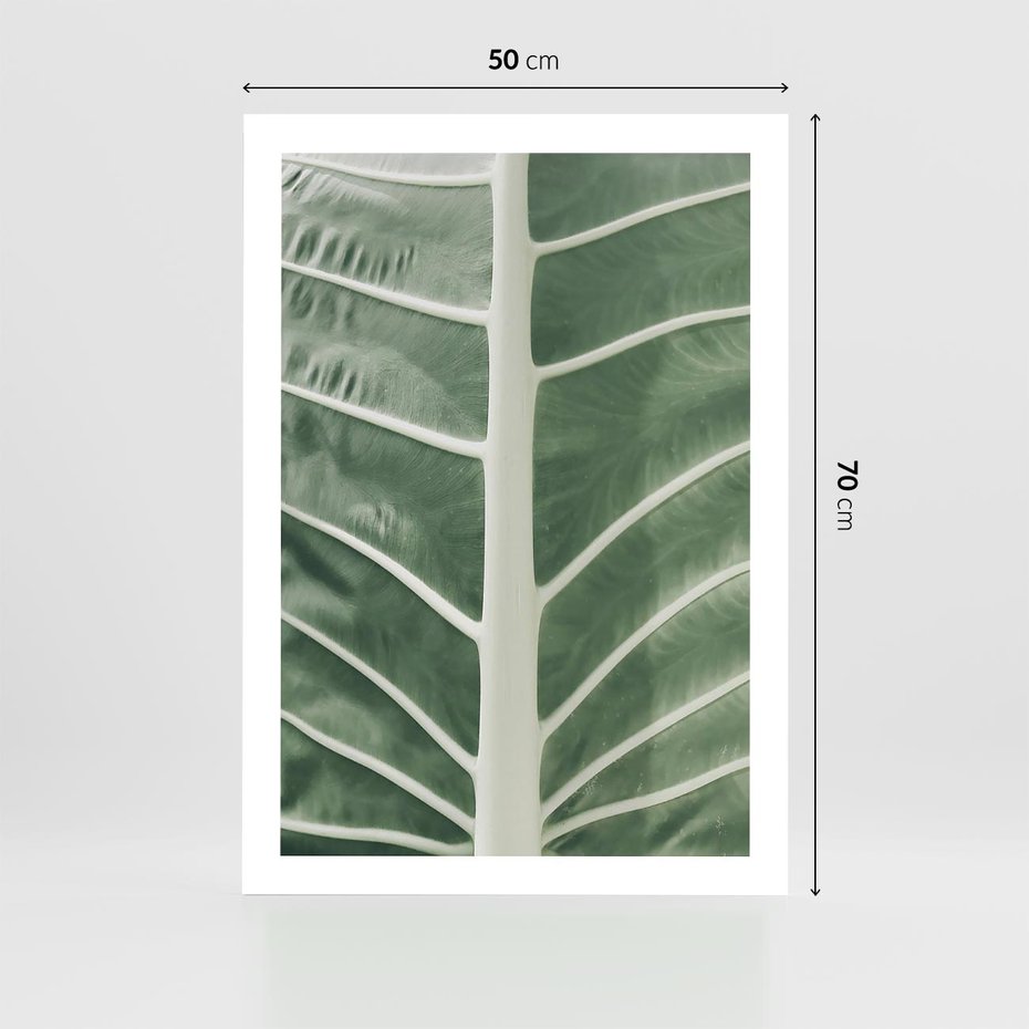 Plakat bez ramy 50x70 - Zielone Wielkości: Zbliżenie Liścia - zbliżenie duz liść, jasna zieleń