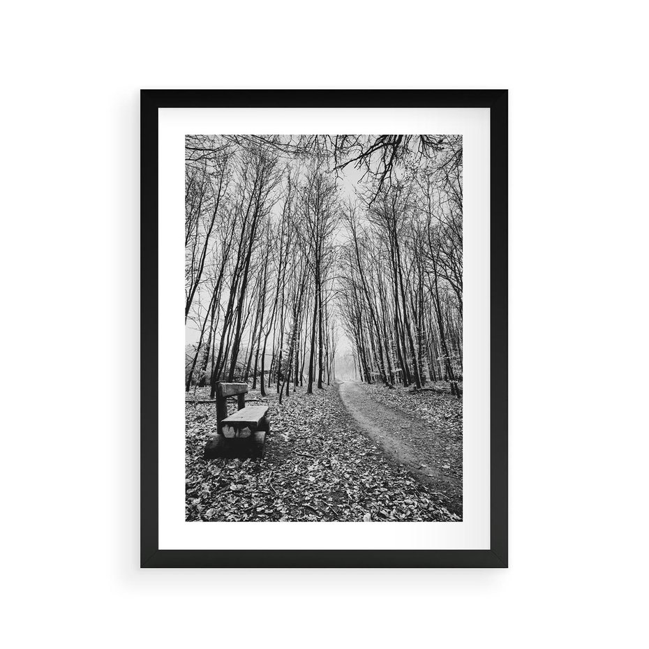 Plakat w ramie 30x40 - Spadające Liście - czarno białe zdjecie, park - rama czarna