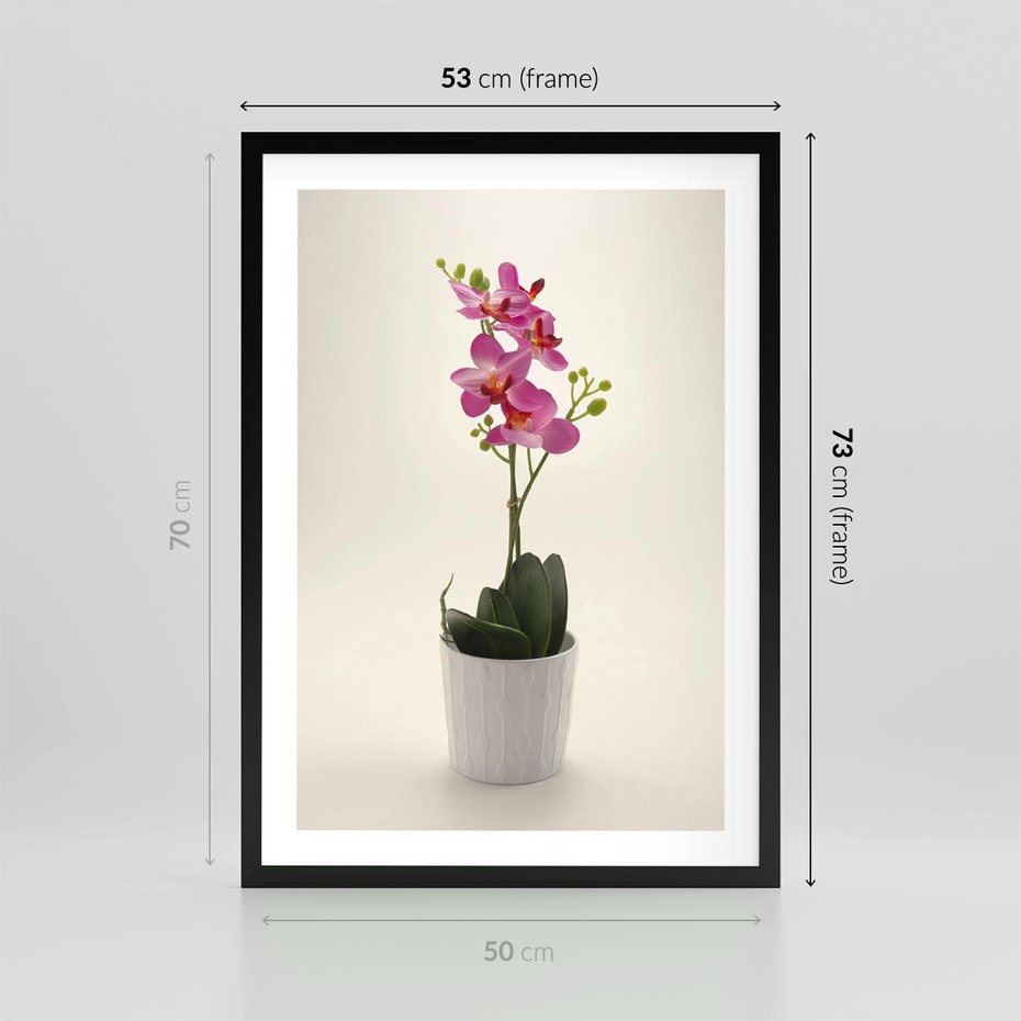 Plakat w ramie 50x70 - Delikatność storczyka orchidei - storczyk, orchidea - rama czarna
