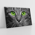 Obraz na płótnie 100x70 - Przestreń nautra  doznania - kot, kotek