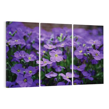 Obraz na płótnie 120x80 - Kwiatowe uniesienia magia natury - kwiat, kwiaty