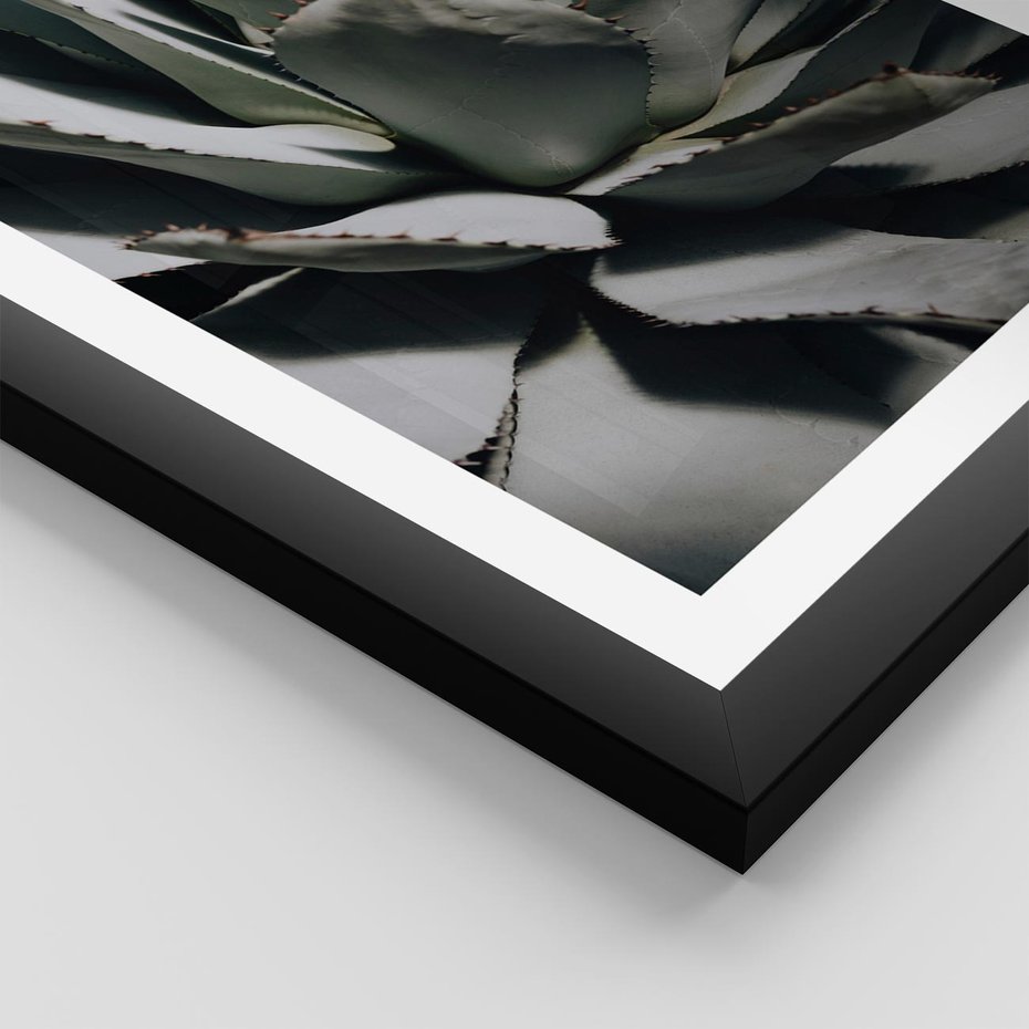 Plakat w ramie 50x70 - Egzotyczny Raj - sukulenty, kaktusy - rama czarna