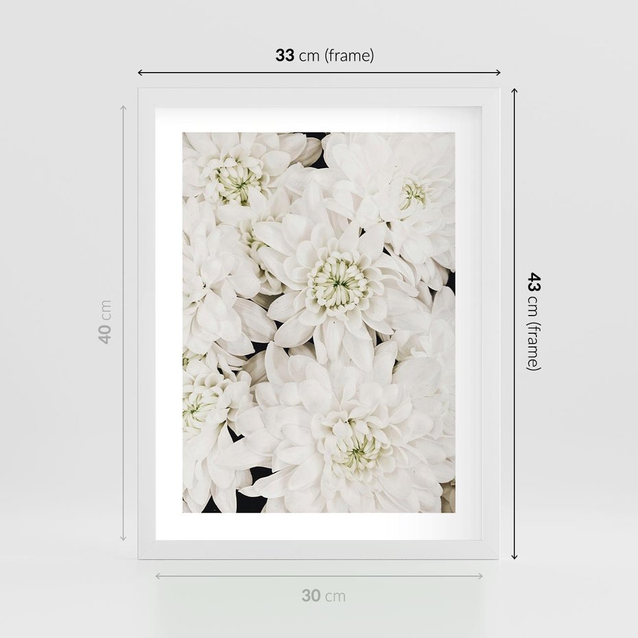 Plakat w ramie 30x40 - Białe Kwiaty: Płatki Delikatności - białe kwiaty, zbliżenie - rama biała