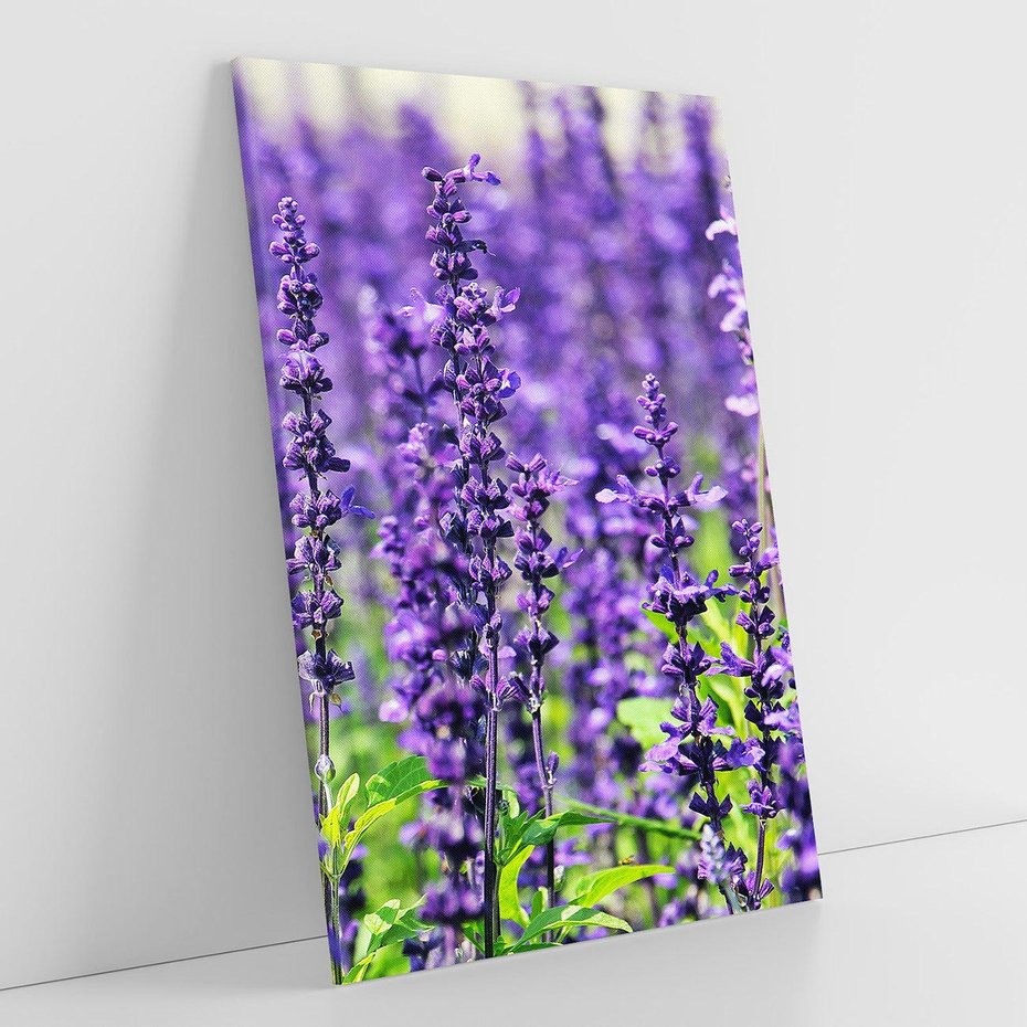 Obraz na płótnie 80x120 - Lawendowa Mgła - lawenda, kwiat