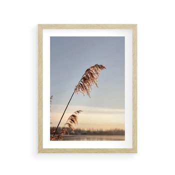 Plakat w ramie 50x70 - Naturalna Delikatność - trawy, boho - rama drewno