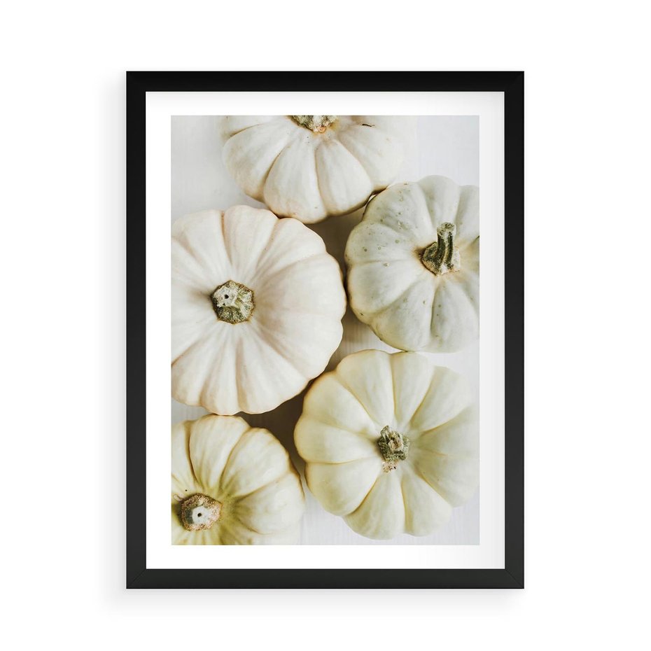 Plakat w ramie 50x70 - Jesienne Dynie: Delikatna Kompozycja - białe dynie, jasna kompozycja - rama czarna
