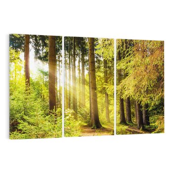 Obraz na płótnie 120x80 - Mistyka lasu - las, drzewa