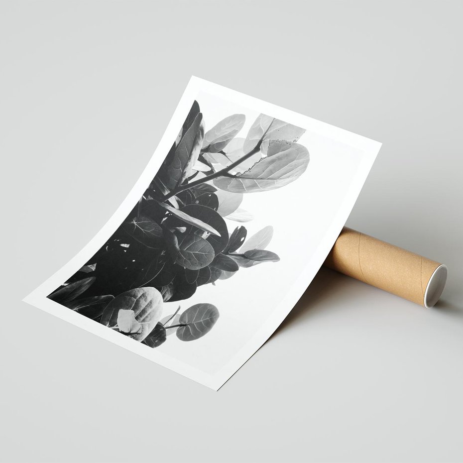 Plakat bez ramy 40x50 - Blisko Natury - liście, rośliny tropikalne