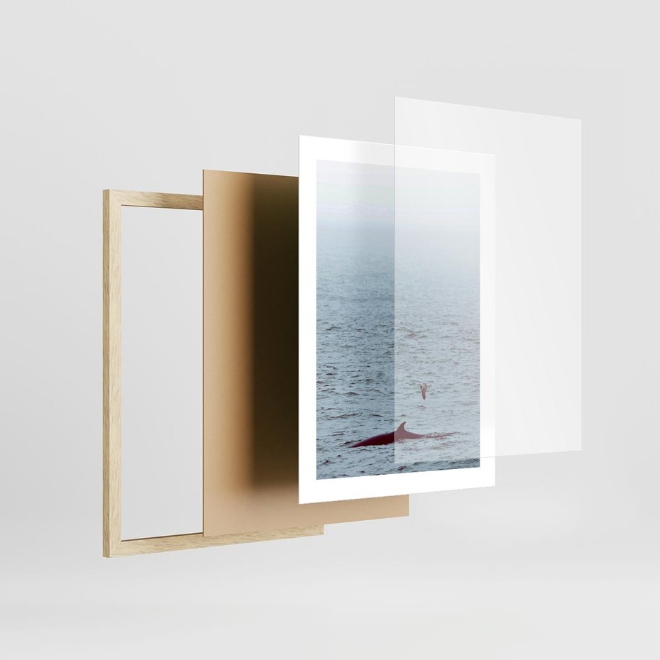 Plakat w ramie 30x40 - Spotkanie z Orką - morze, ocean - rama drewno